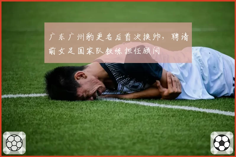 广东广州豹更名后首次换帅，聘请前女足国家队教练担任顾问
