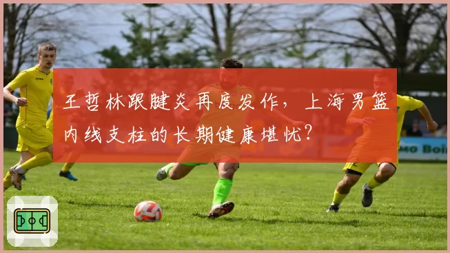王哲林跟腱炎再度发作，上海男篮内线支柱的长期健康堪忧？
