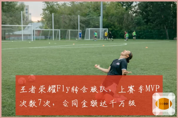 王者荣耀Fly转会狼队，上赛季MVP次数7次，合同金额达千万级